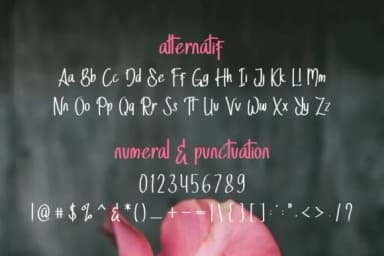 Stella Alpina Font by EdricStudio — Script Handwritten Font — thumbnail 7