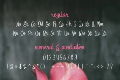 Stella Alpina Font by EdricStudio — Script Handwritten Font — thumbnail 8