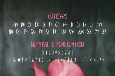 Stella Alpina Font by EdricStudio — Script Handwritten Font — thumbnail 9