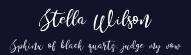 Stella Wilson by Lettersiro Studio — Script Handwritten Font — thumbnail 2
