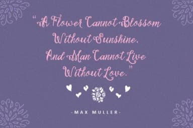 Stellanova Font by Ian Mikraz — Script Handwritten Font — thumbnail 2