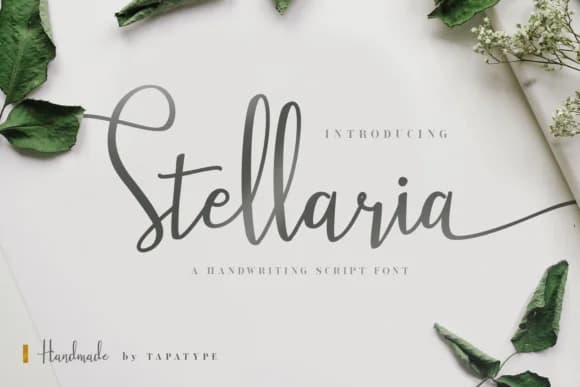 Stellaria Font by TapaType — Script Handwritten Font