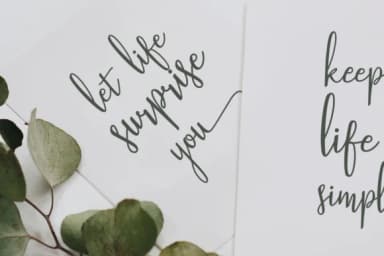 Stellaria Font by TapaType — Script Handwritten Font — thumbnail 2