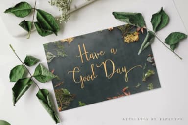 Stellaria Font by TapaType — Script Handwritten Font — thumbnail 3