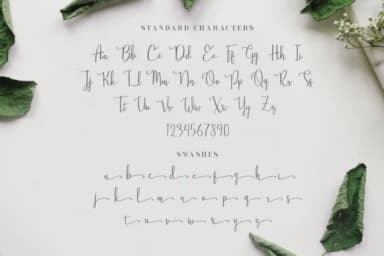 Stellaria Font by TapaType — Script Handwritten Font — thumbnail 6