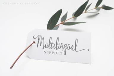 Stellaria Font by TapaType — Script Handwritten Font — thumbnail 7