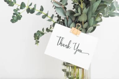 Stellaria Font by TapaType — Script Handwritten Font — thumbnail 8