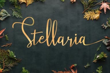 Stellaria Font by TapaType — Script Handwritten Font — thumbnail 9
