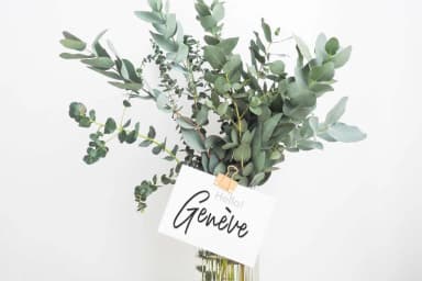 Stepbrother Font by Studio_Art — Script Handwritten Font — thumbnail 3