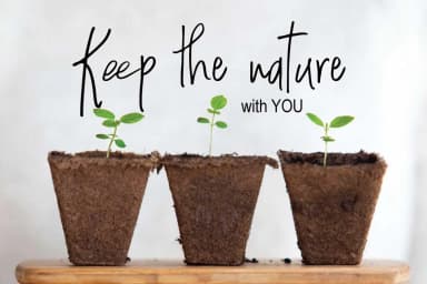 Stepbrother Font by Studio_Art — Script Handwritten Font — thumbnail 5