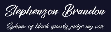 Stephenson Brandon by Perspectype Studio - Letterena.com — Script Handwritten Font — thumbnail 2