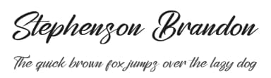 Stephenson Brandon by Perspectype Studio - Letterena.com — Script Handwritten Font — thumbnail 1