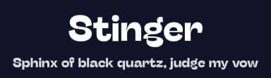 Stinger by Zetafonts — Sans Serif Font — thumbnail 2
