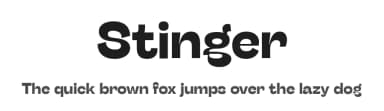 Stinger by Zetafonts — Sans Serif Font — thumbnail 1