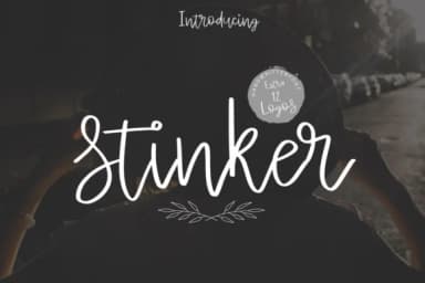 Stinker Font by Studio_Art — Script Handwritten Font — thumbnail 1