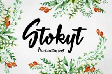 Stokyt Font by Digital Typeface Studio — Script Handwritten Font — thumbnail 1