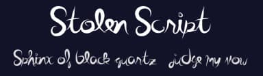 Stolen Script by Xerographer Fonts — Script Handwritten Font — thumbnail 2