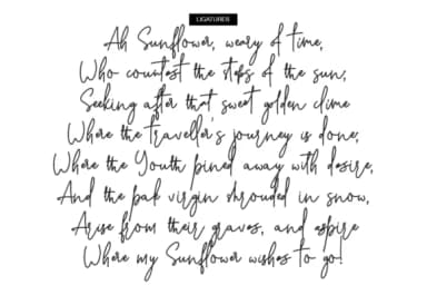 Stone Soul Font by BennyDesigns — Script Handwritten Font — thumbnail 7