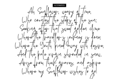 Stone Soul Font by BennyDesigns — Script Handwritten Font — thumbnail 8