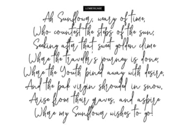 Stone Soul Font by BennyDesigns — Script Handwritten Font — thumbnail 9