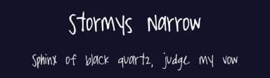 Stormys Narrow by Stormys Fonts — Script Handwritten Font — thumbnail 2