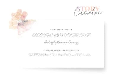 Story Camelon Font by Home Sweet — Script Handwritten Font — thumbnail 5