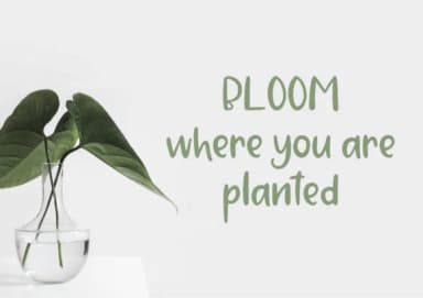 Strawberry Jam Font by Sentimental Postman — Script Handwritten Font — thumbnail 2