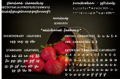 Strawberry Moon Font by Jason Scott — Script Handwritten Font — thumbnail 6