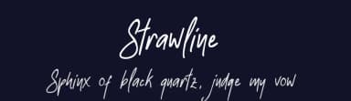 Strawline by QueenType — Script Handwritten Font — thumbnail 2