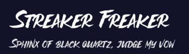 Streaker Freaker by Variatype — Script Handwritten Font — thumbnail 2