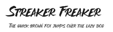 Streaker Freaker by Variatype — Script Handwritten Font — thumbnail 1