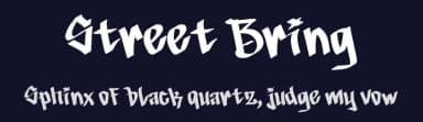 Street Bring by Studio Hello Good — Script Handwritten Font — thumbnail 2