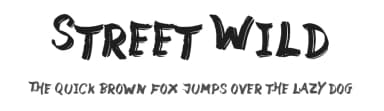Street Wild by JSH creates — Script Handwritten Font — thumbnail 1