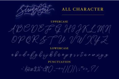 Stringlight Font by riversidetypefoundry — Script Handwritten Font — thumbnail 5