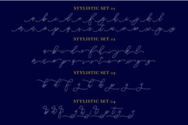 Stringlight Font by riversidetypefoundry — Script Handwritten Font — thumbnail 6