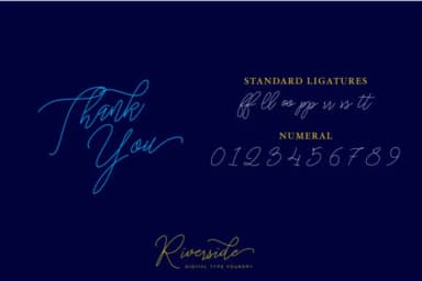 Stringlight Font by riversidetypefoundry — Script Handwritten Font — thumbnail 7