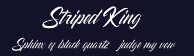 Striped King by Creatype Studio — Script Handwritten Font — thumbnail 2