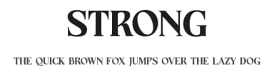 Strong by Graphicxell — Serif Font — thumbnail 1