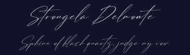 Strongela Delmonte by Perspectype Studio - Letterena.com — Script Handwritten Font — thumbnail 2