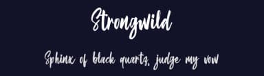 Strongwild by Typefar — Script Handwritten Font — thumbnail 2