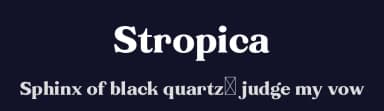 Stropica by Type Combo — Serif Font — thumbnail 2