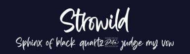 Strowild by Ditatype — Script Handwritten Font — thumbnail 2