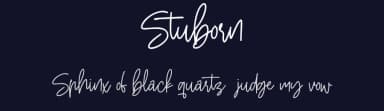 Stuborn by Maulana Creative — Script Handwritten Font — thumbnail 2