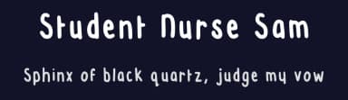 Student Nurse Sam by Samantha Elliott — Script Handwritten Font — thumbnail 2