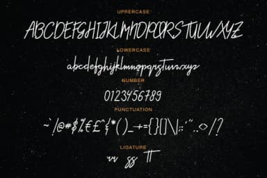 Styniar Font by Febri Creative — Script Handwritten Font — thumbnail 5