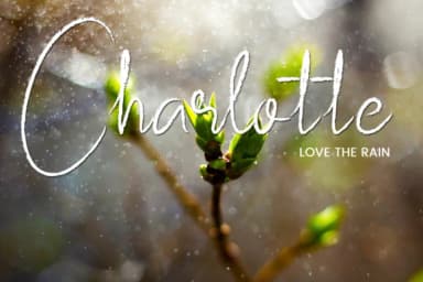 Subsky Font by Gumacreative — Script Handwritten Font — thumbnail 4