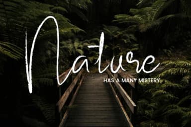 Subsky Font by Gumacreative — Script Handwritten Font — thumbnail 5