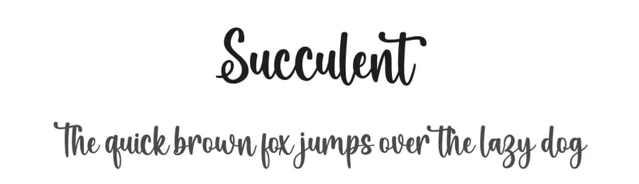 Succulent by Graphix Line Studio — Script Handwritten Font