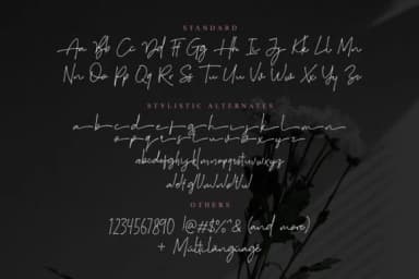 Suddenly Family Font by saridezra — Script Handwritten Font — thumbnail 9