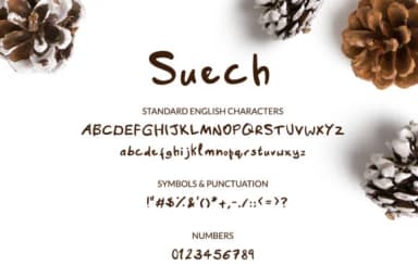 Suech Font by Twenty Two — Script Handwritten Font — thumbnail 2